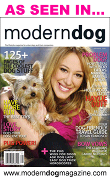 modern dog magazine