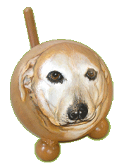 dog cremation urn