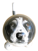 painted puppy 2