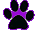 paw
