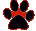 paw