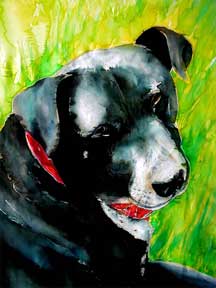 grass dog portrait