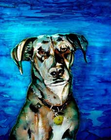 sky dog portrait